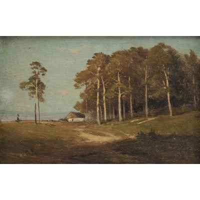 Картина «Пейзаж с соснами» Украина конец ХІХ  - начало XX вв