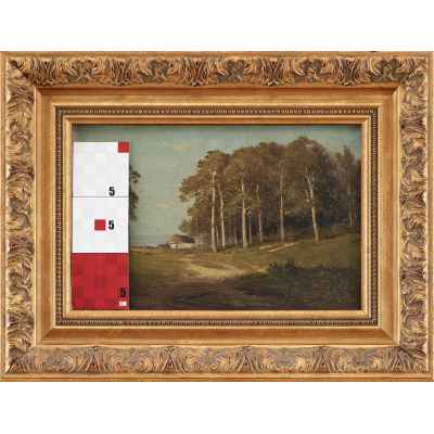 Картина «Пейзаж с соснами» Украина конец ХІХ  - начало XX вв