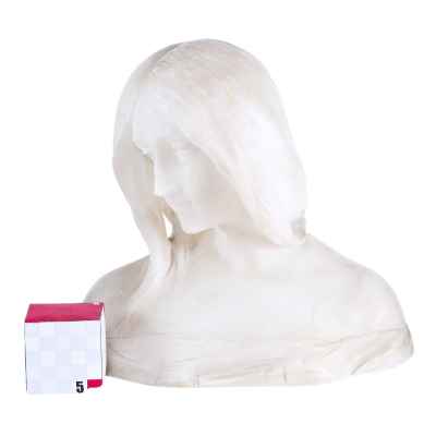 Скульптурный бюст из алебастра Европа начало XX века