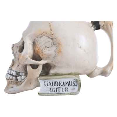 Кружка «Gaudeamus» Европа XIX век