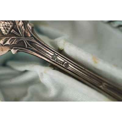 Столовая ложка в оригинальном футляре серебро 800 пр. Германия кон. XIX в. 71 гр. Германия 1887-1901 гг