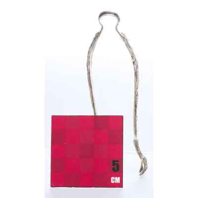 Щипцы для сахара серебро 925 пр. Tiffany США 1880 г. 11,6 см. 38 гр. Тиффани, США 1880