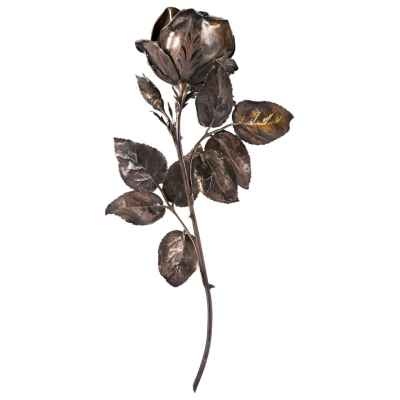 Роза Вена, Австрия 1866-1937 гг