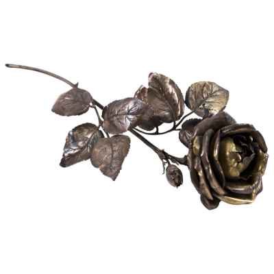 Роза Вена, Австрия 1866-1937 гг