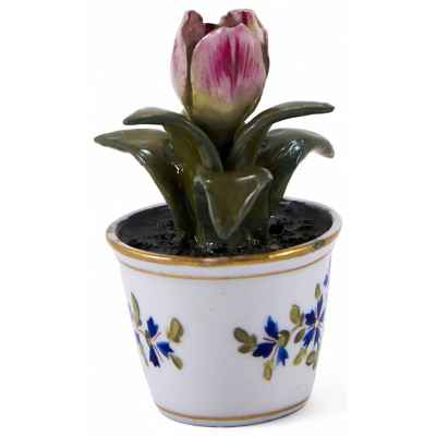 Цветы в горшке Европа 1950-1960-гг