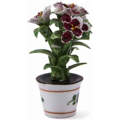 Цветы в горшке, Европа Европа ХХ век