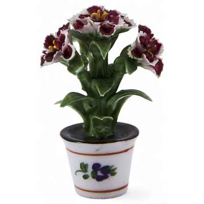 Цветы в горшке, Европа Европа ХХ век