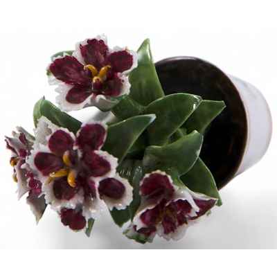 Цветы в горшке, Европа Европа ХХ век