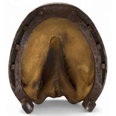 Пепельница «Копыто» Россия (Урал) конец XIX века