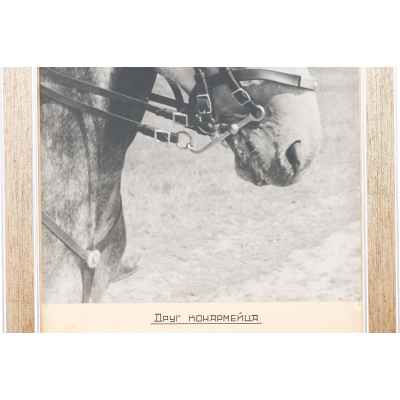 Б. С. Рябинин Фотография Друг конармейца СССР 1930-е гг. 47,3x28,2 см. СССР. Свердловская область июль 1936