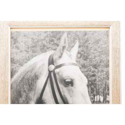 Б. С. Рябинин Фотография Друг конармейца СССР 1930-е гг. 47,3x28,2 см. СССР. Свердловская область июль 1936