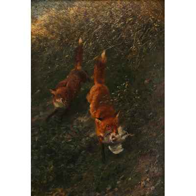 Добыча Европа 1906