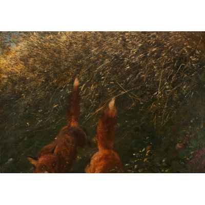 Добыча Европа 1906