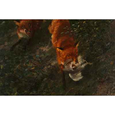 Добыча Европа 1906