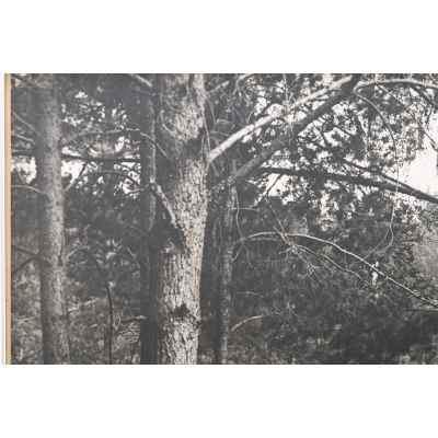 Б. С. Рябинин Фотография Боевое охранение 1936г СССР Свердловск 28x37 см. СССР. Свердловская область июль 1936