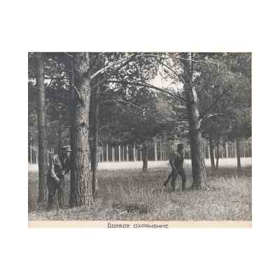 Б. С. Рябинин Фотография Боевое охранение 1936г СССР Свердловск 28x37 см. СССР. Свердловская область июль 1936