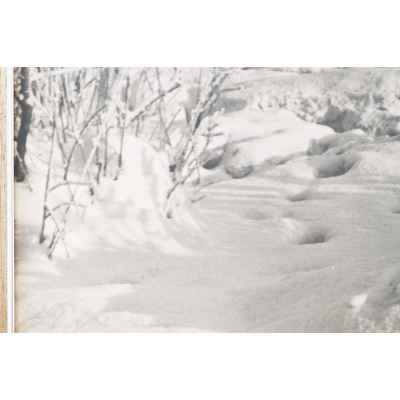 Б. С. Рябинин Фотография Вид на городской пруд Свердловск СССР 1930-е гг. 45x58,3 см. СССР. Свердловск 1930-гг