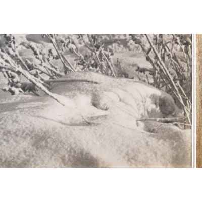 Б. С. Рябинин Фотография Вид на городской пруд Свердловск СССР 1930-е гг. 45x58,3 см. СССР. Свердловск 1930-гг