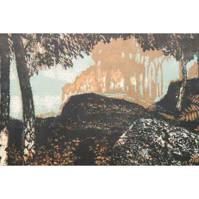 Новиченко В. А. офорт Раздолье 1964 г. 43x51 см.  1964