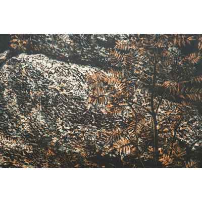 Новиченко В. А. офорт Раздолье 1964 г. 43x51 см.  1964