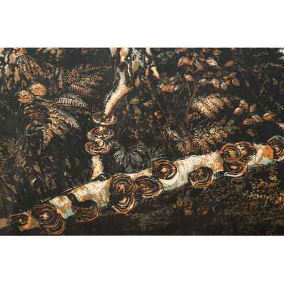 Новиченко В. А. офорт Раздолье 1964 г. 43x51 см.  1964