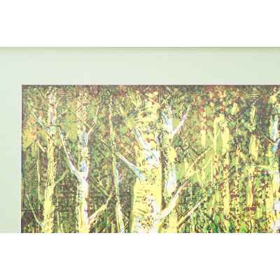 Новиченко В. А. линогравюра Лето 1964 г. 54x45 см.  1964