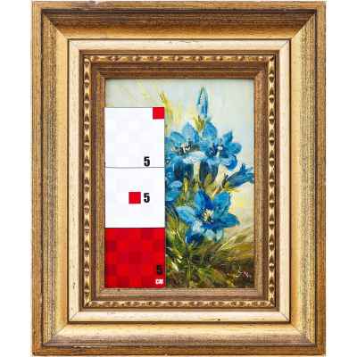 S. Navrátil Цветы горечавка картон, мало Австрия сер. ХХ в. 20x15 см.  Середина XX века