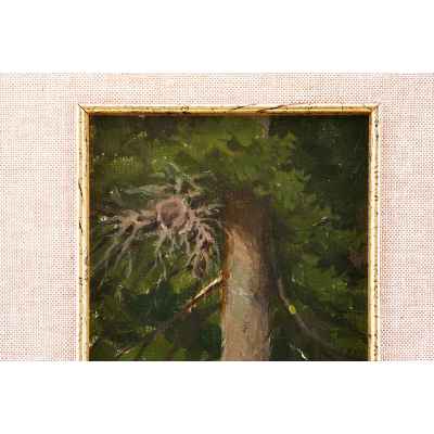 Картина «Ель» П.С. Чуваргин.  Третья четверть XX века