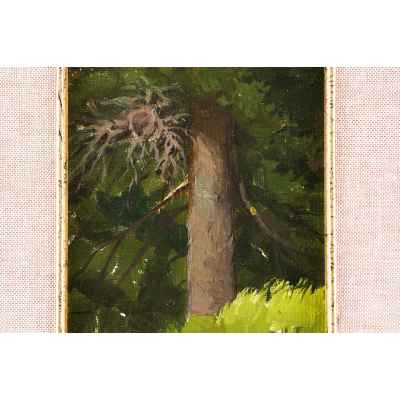 Картина «Ель» П.С. Чуваргин.  Третья четверть XX века