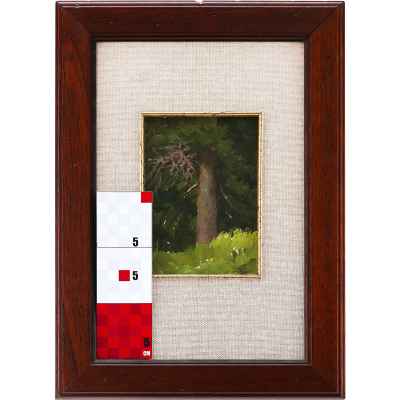 Картина «Ель» П.С. Чуваргин.  Третья четверть XX века