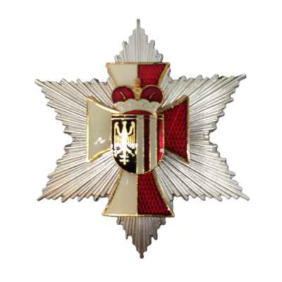 Большая звезда Знака Почета Верхней Австрии металл, серебрение Австрия 1970-90 гг. Австрия последняя треть XX века