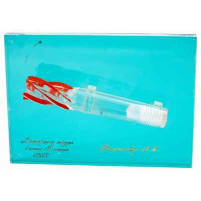 Памятная награда 