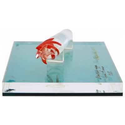 Памятная награда 