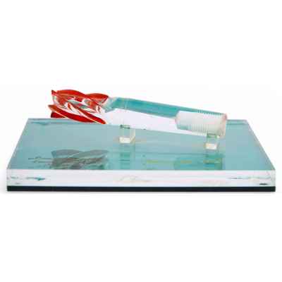 Памятная награда 