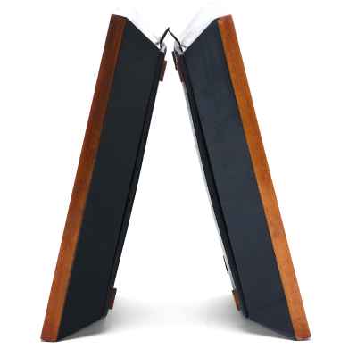 Портрет неизвестного. Портрет неизвестной. Европа XIX век