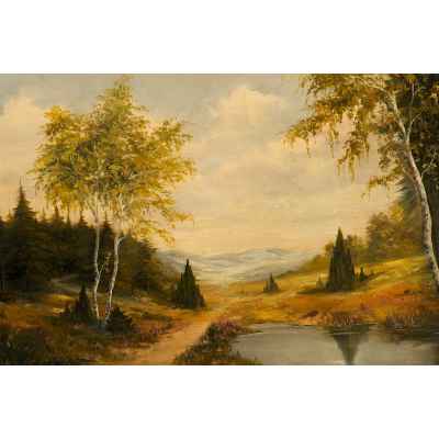 Лесной пейзаж с озером Европа конец XIX-начало XX вв