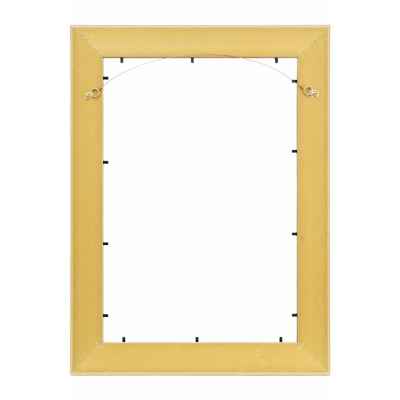 Эстамп. Портрет царя Михаила Фёдоровича  около 1656 г