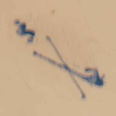 Вазочка (05195св)  